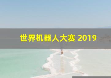 世界机器人大赛 2019